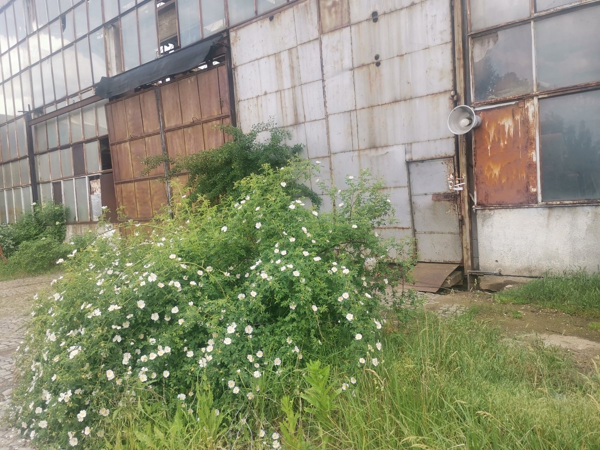 Abandoned industrial sites documented in Bulgarian villages