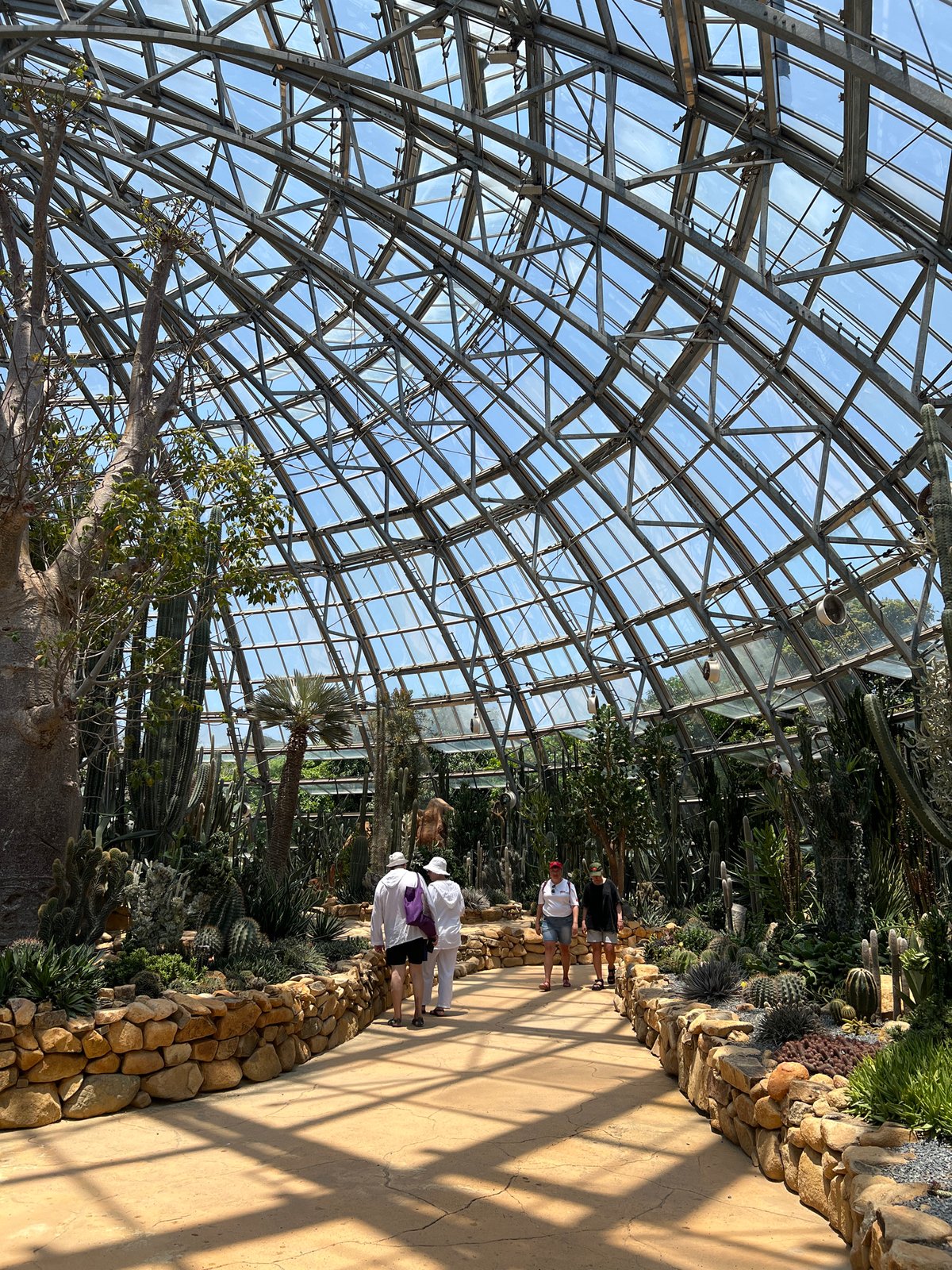 Zoo visitors observe rhino, feed giraffes in Nha Trang
