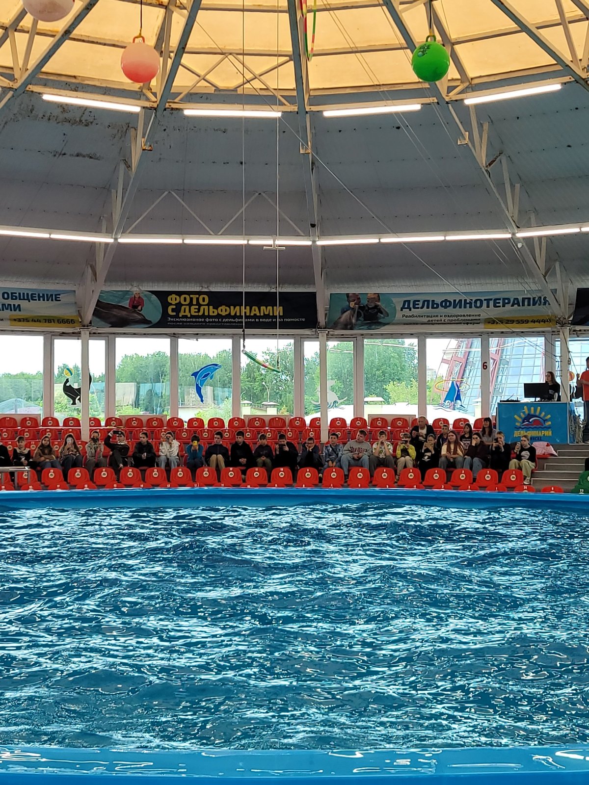 Sea lion performance draws audience at Minsk dolphinarium