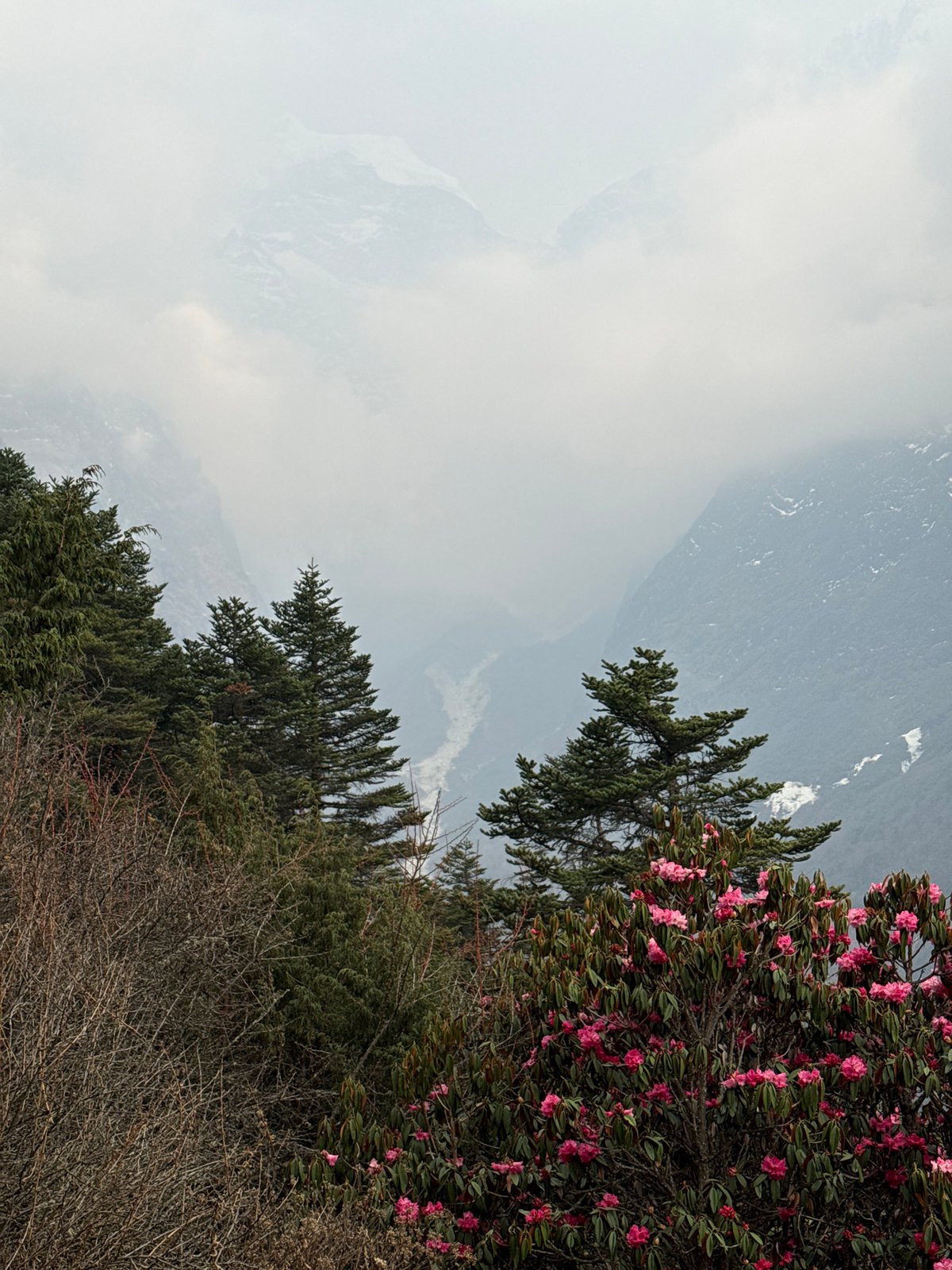 Tourist documents misty Himalayan peaks and wildlife near Tengboche