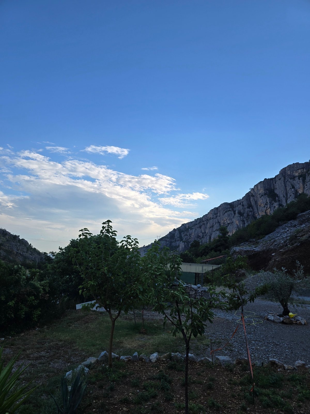 Dogs, mountains, and a rugged stone property on a clear afternoon