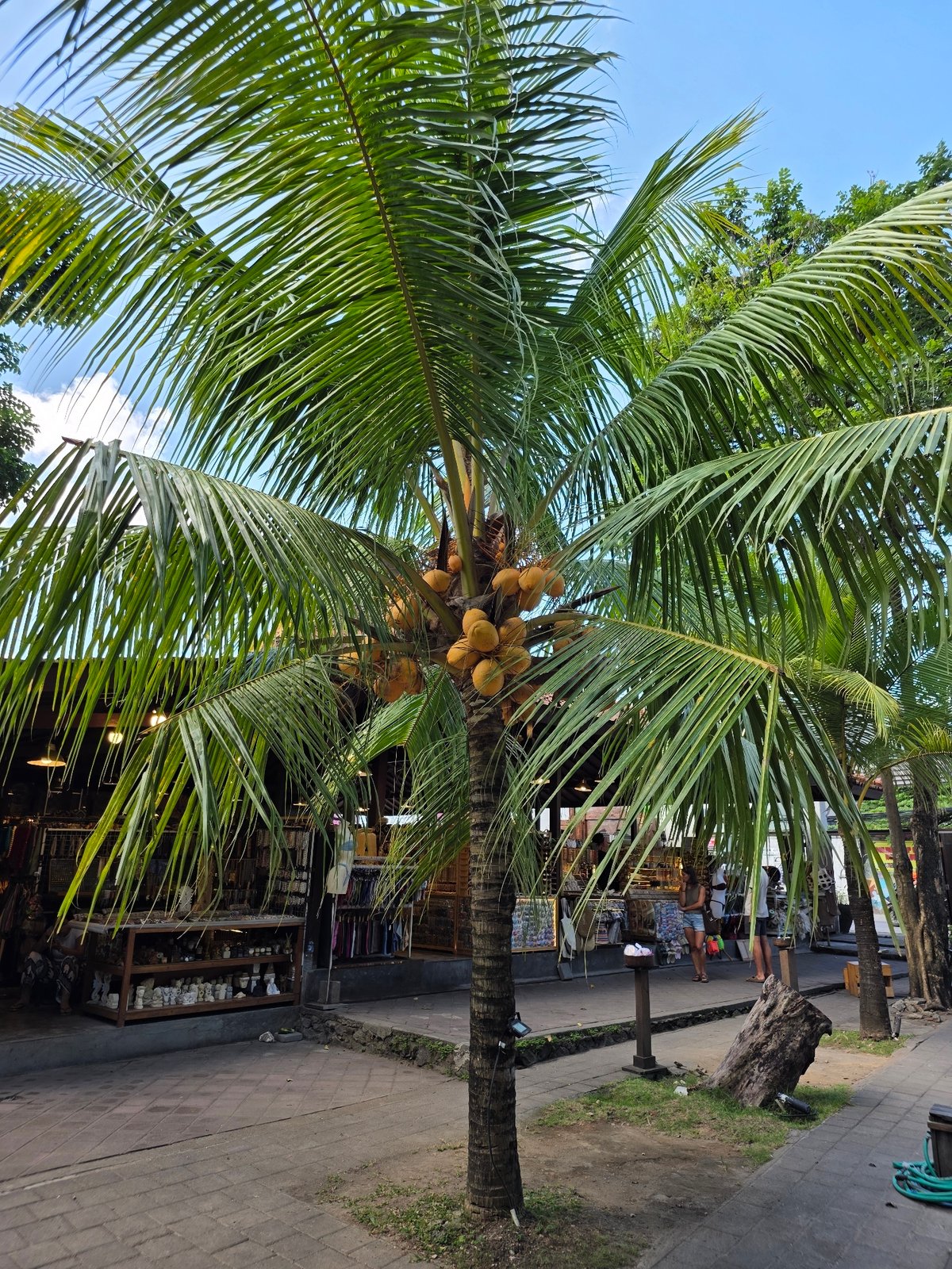 Street-level scenes outside La Brisa, North Kuta, Bali