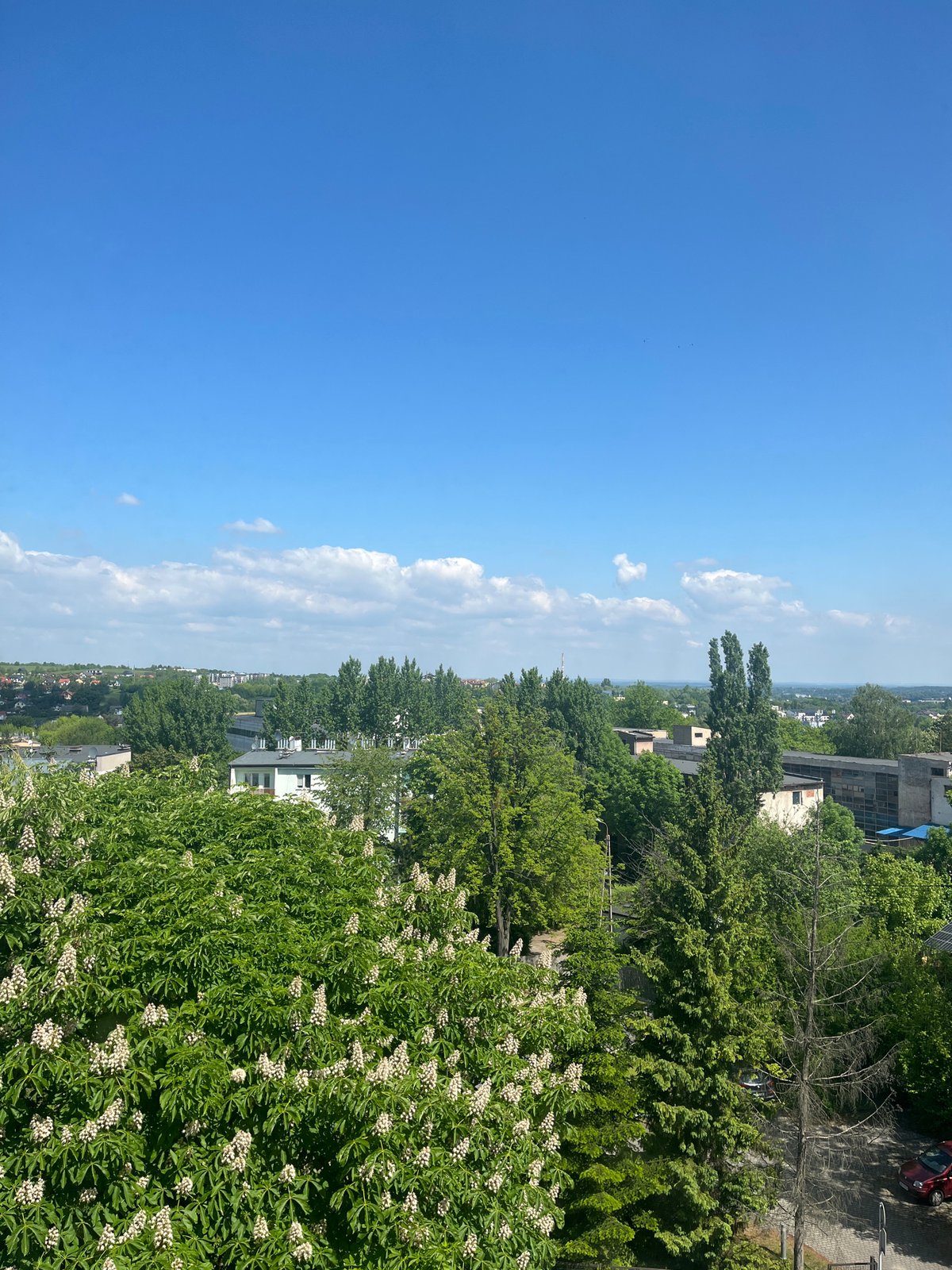Elevated urban landscape views captured during sunny morning