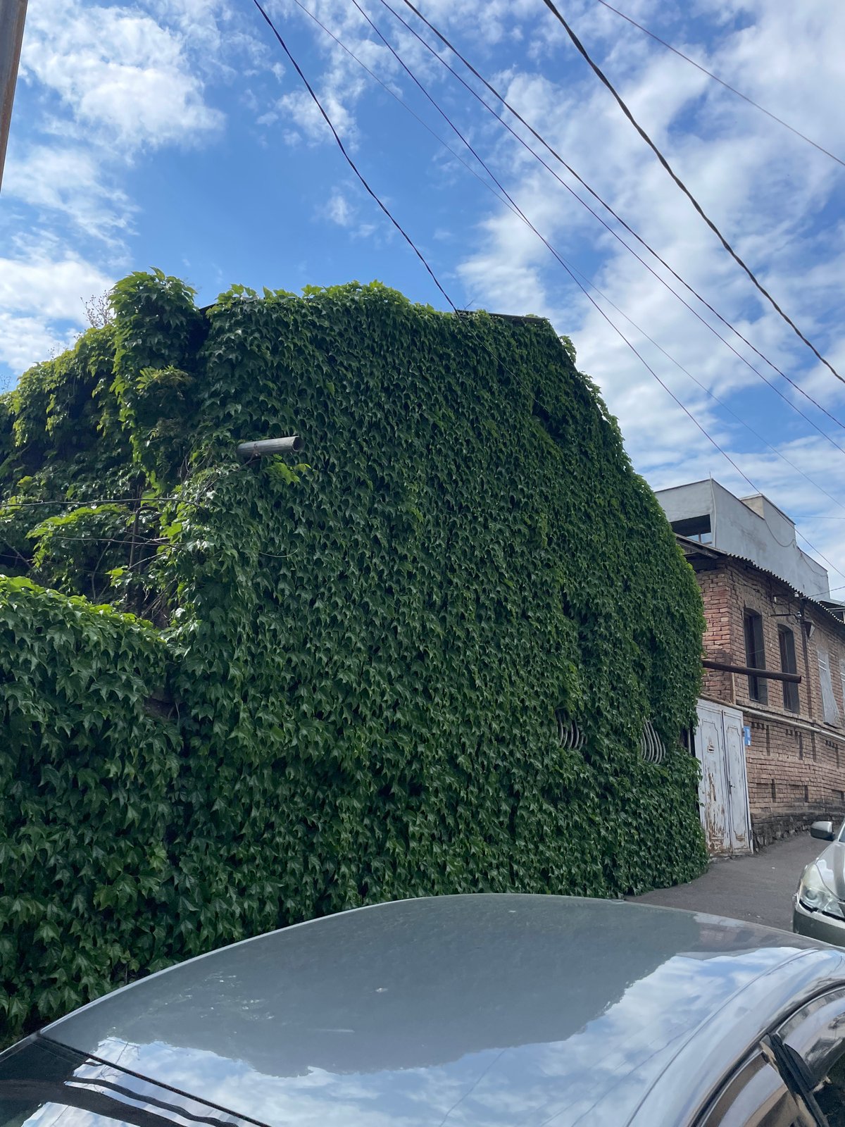 Witness documents everyday street life across Tbilisi neighborhoods
