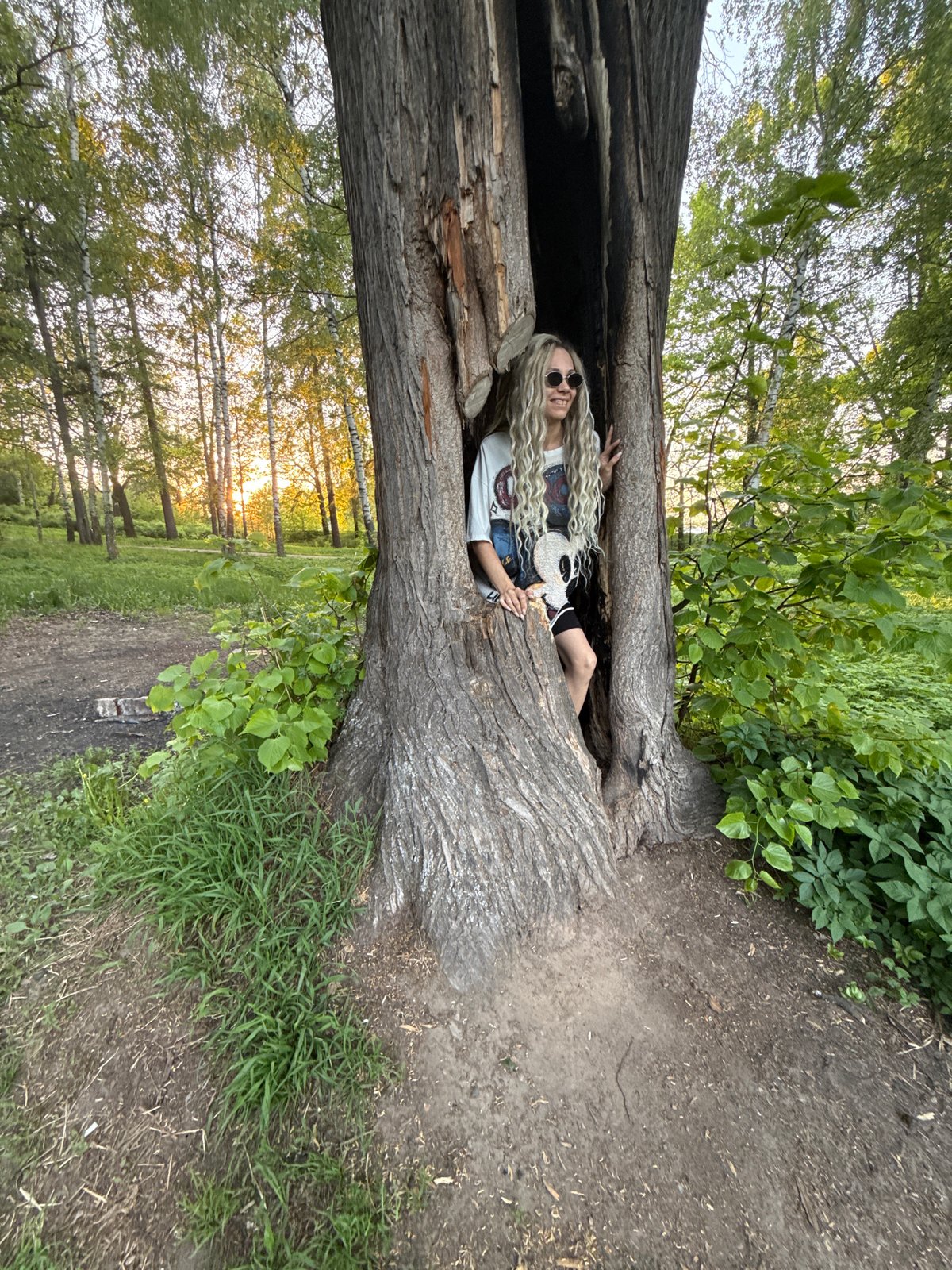 Digital career motivation messages and tree photography in Russian village