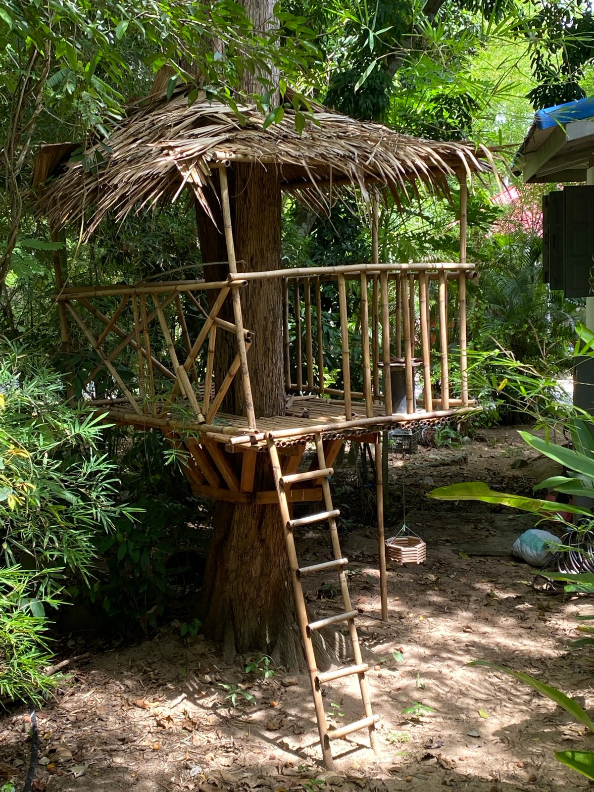 Morning walk through Koh Phangan's natural and cultural spots