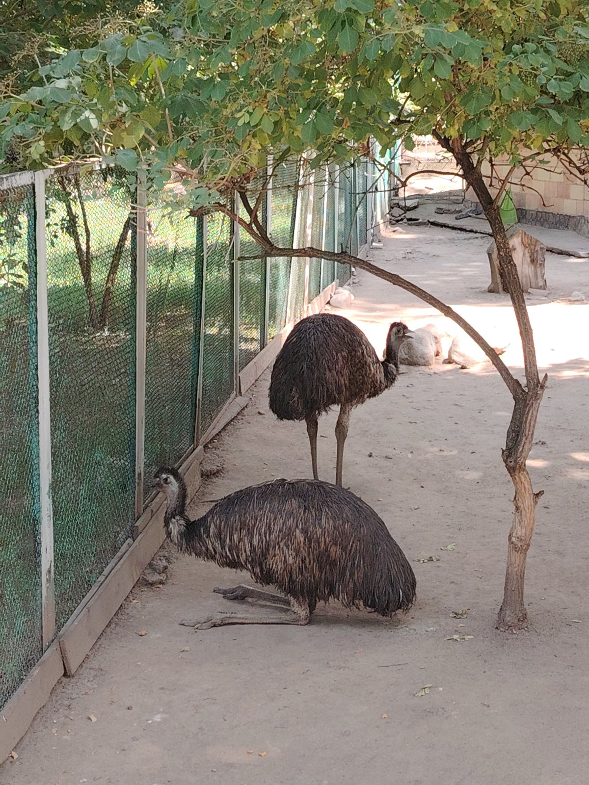 Morning tour through Almaty Zoo's birds, mammals, and aquarium