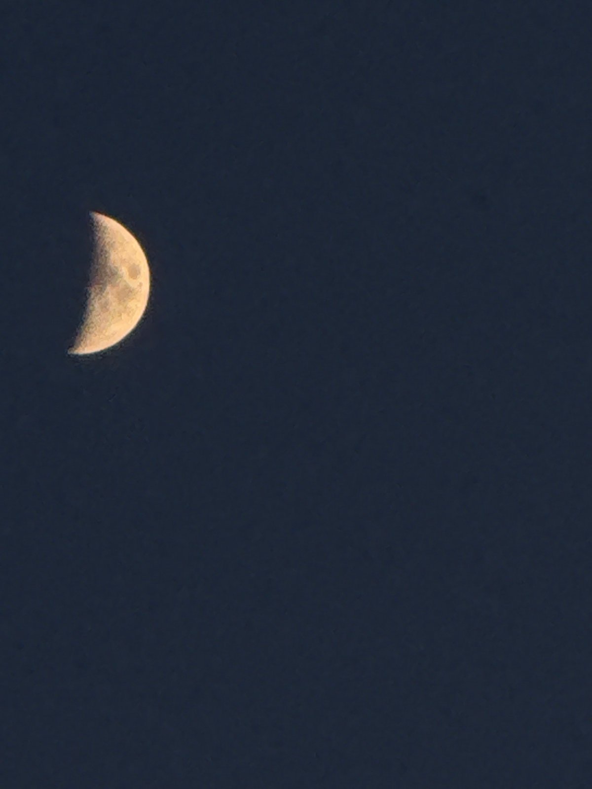 Evening observations in Ягул: crescent moon, cats, quiet moments