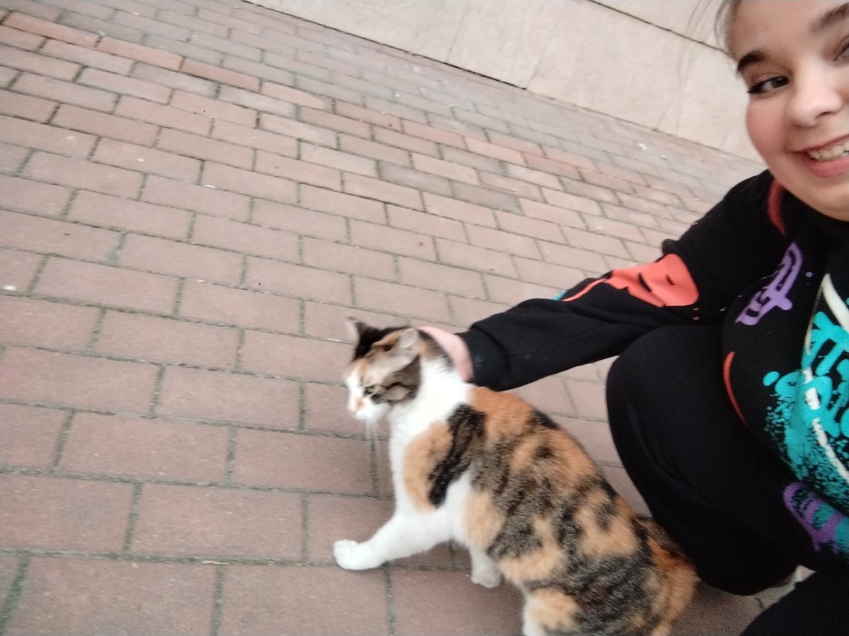Morning scenes captured in Plovdiv: girl with cat, debris-filled river