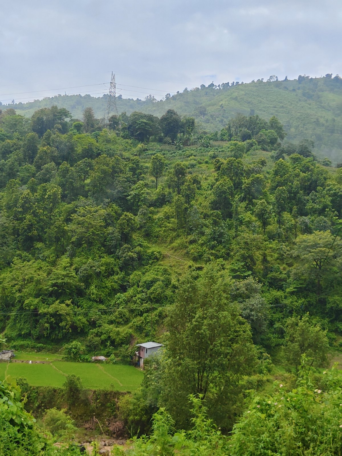Rural Thakre: paddy fields, hillside homes, and a working quarry