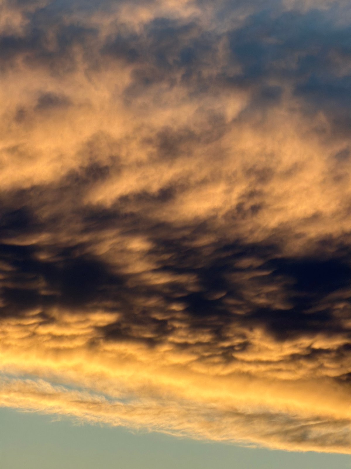 Dramatic sunset skies and casual indoor moments captured in Strasbourg