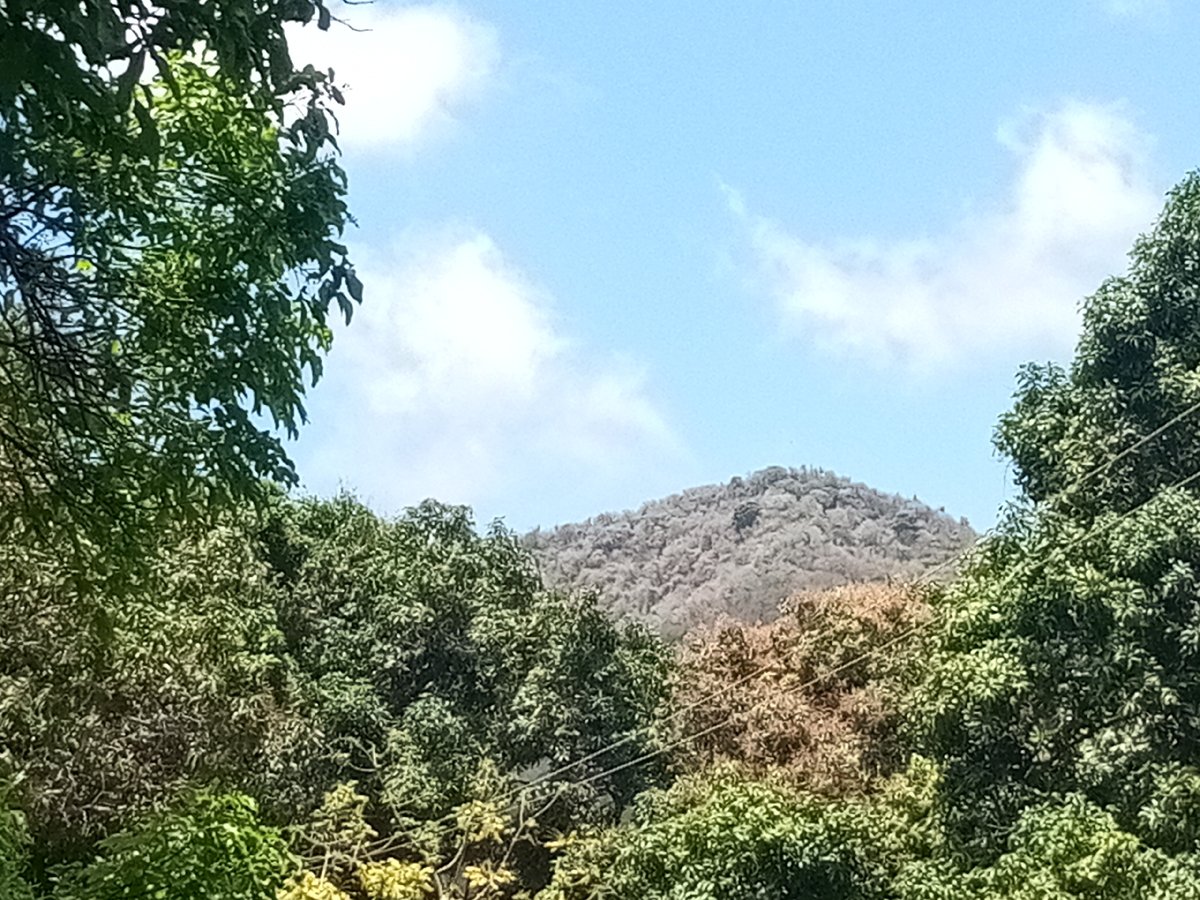Mountain landscape captured in El Valle del Espíritu Santo, Venezuela