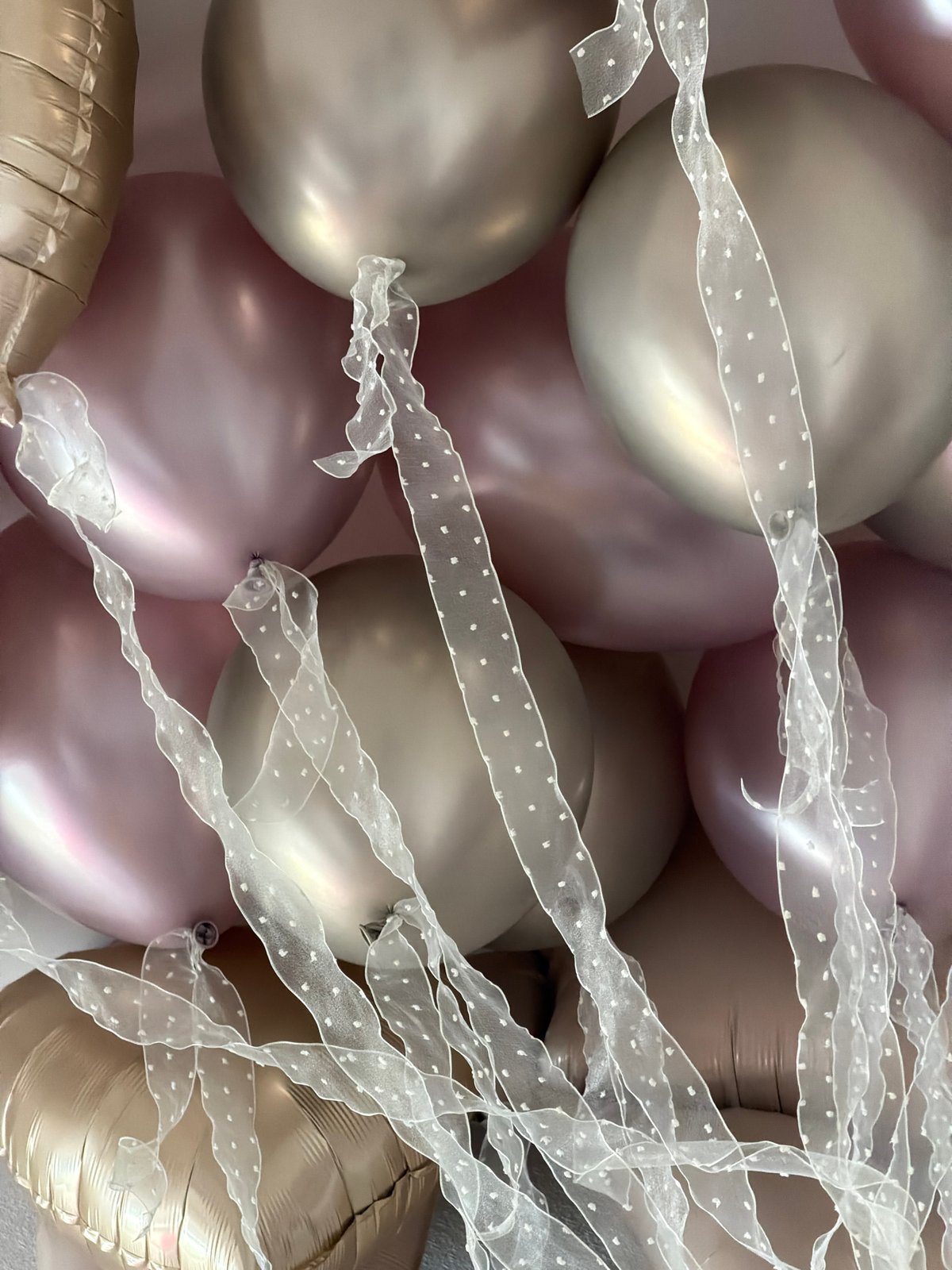 Festive balloons and pink rose bouquets documented in Moscow