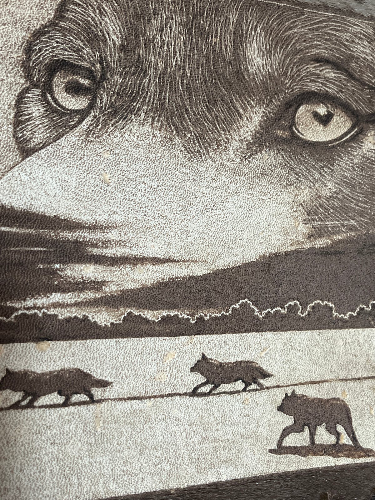 Wolf artwork documented in Zelenogorsk, Russia