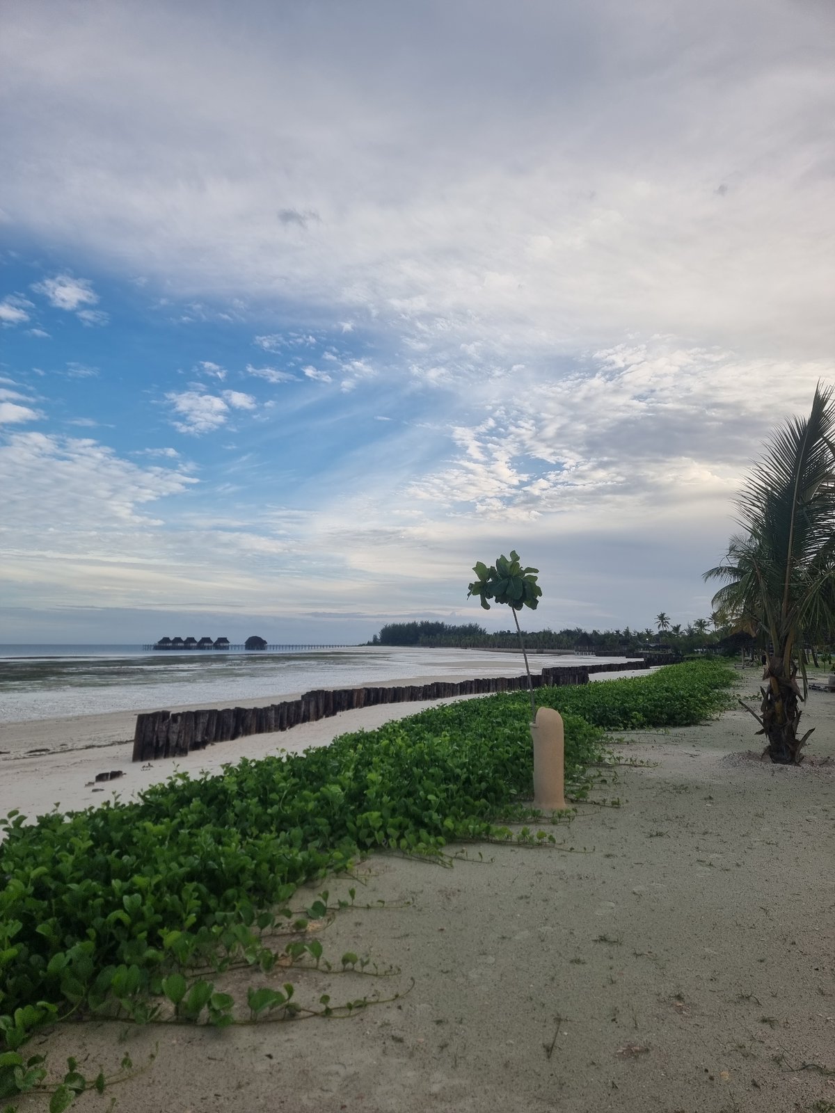 Beach scene with wooden structures documented in Zanzibar