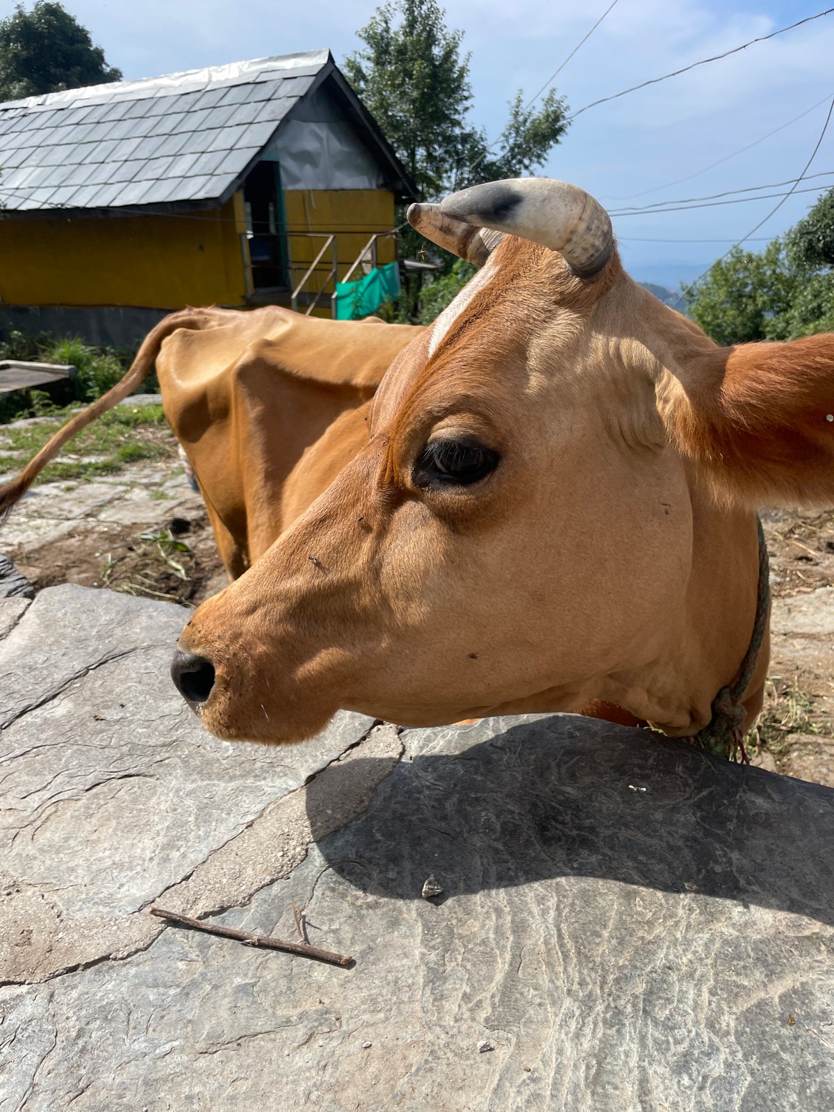 Rural life documented in Indian mountain village overnight