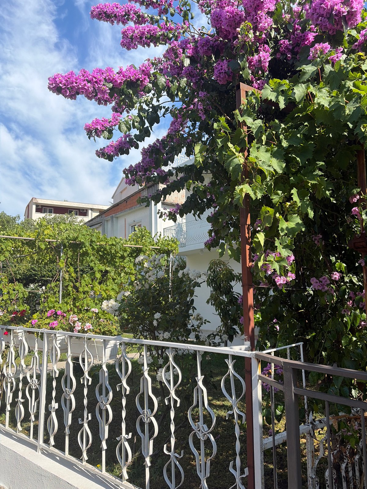 Quiet summer morning along Budva's coastal spots
