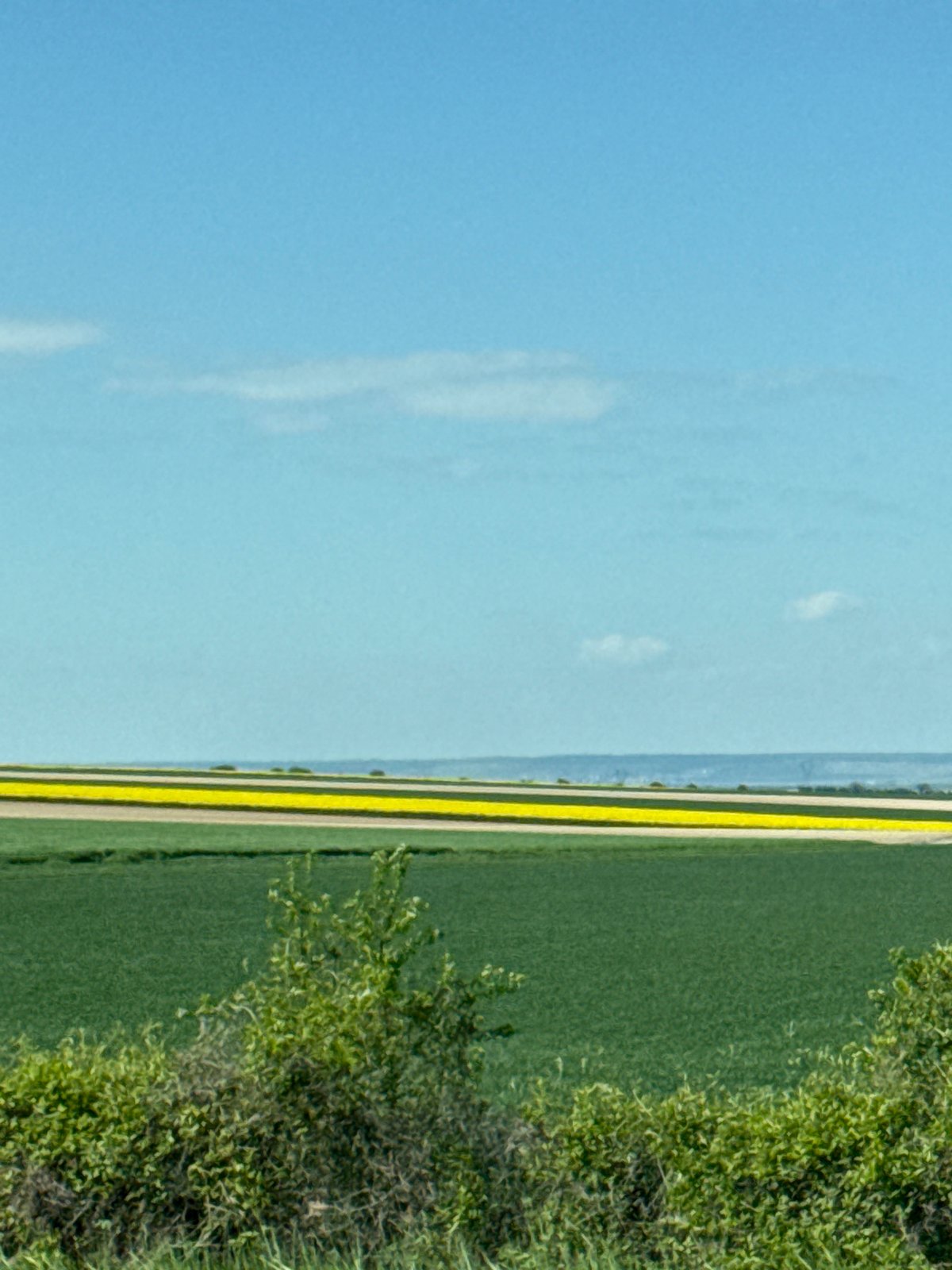 Clear skies over rural farmland captured in Vaudemange, France
