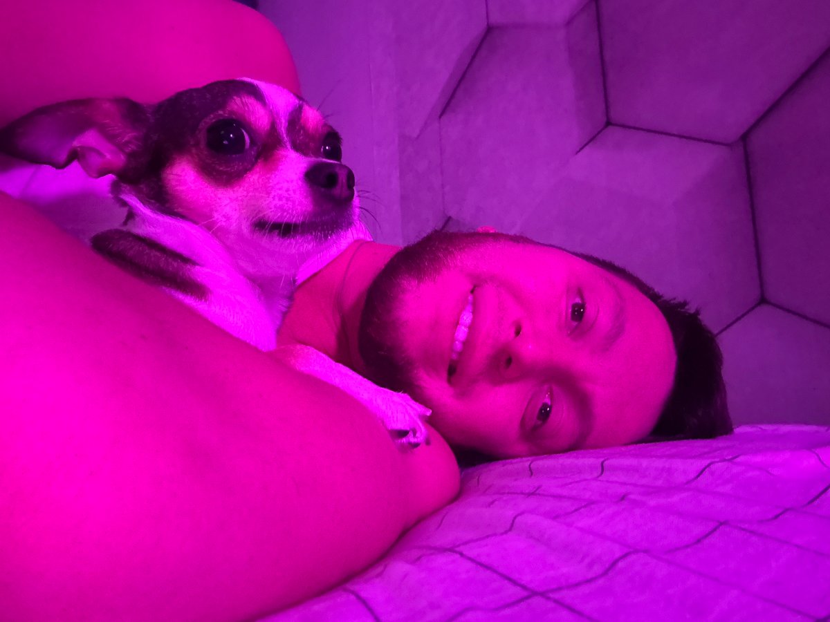 Cozy indoor moments with dogs in Мирный, Russia