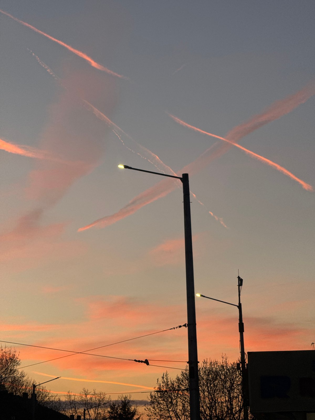 Spring blooms and contrail patterns observed in Sofia
