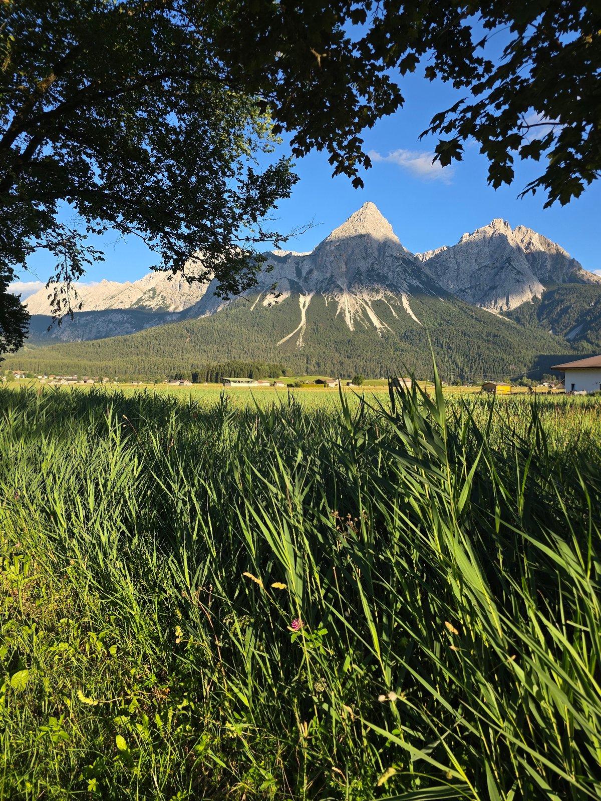 Lermoos meadows and Zugspitze views on a summer afternoon