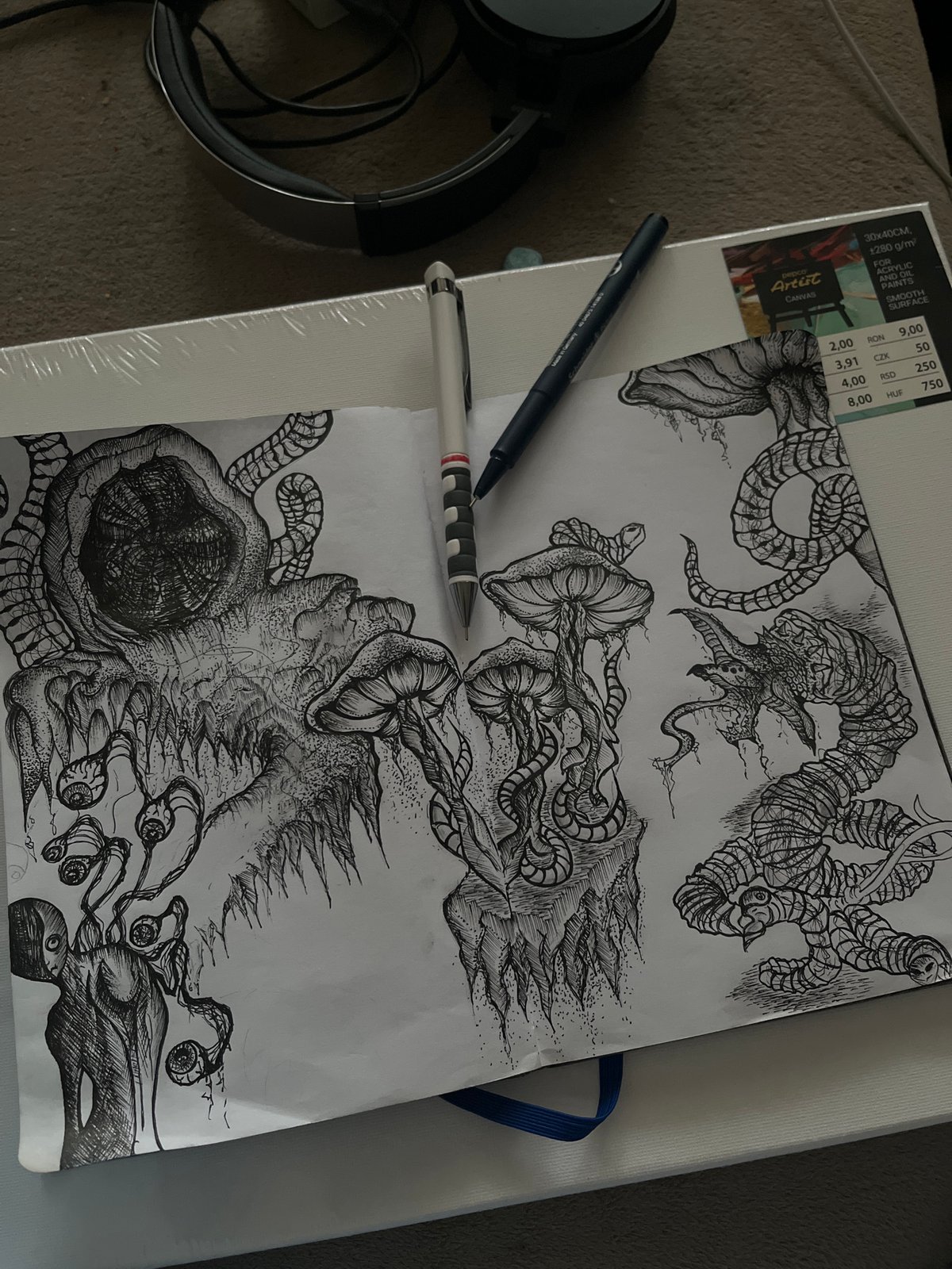 Artist creates intricate fantasy drawings in Sofia studio