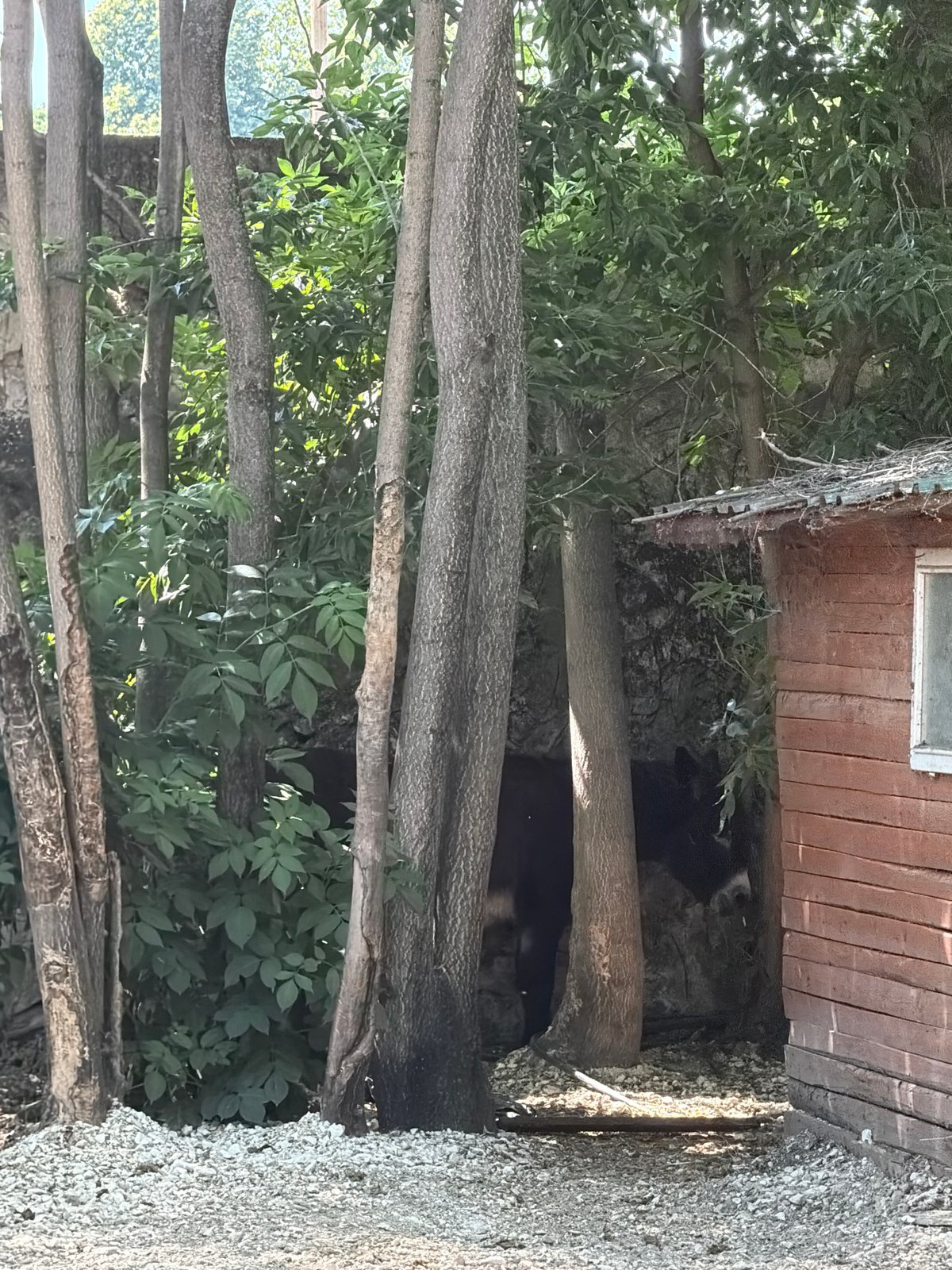 Visitor documents half-hour walkthrough of Pazardzhik Zoo, Bulgaria