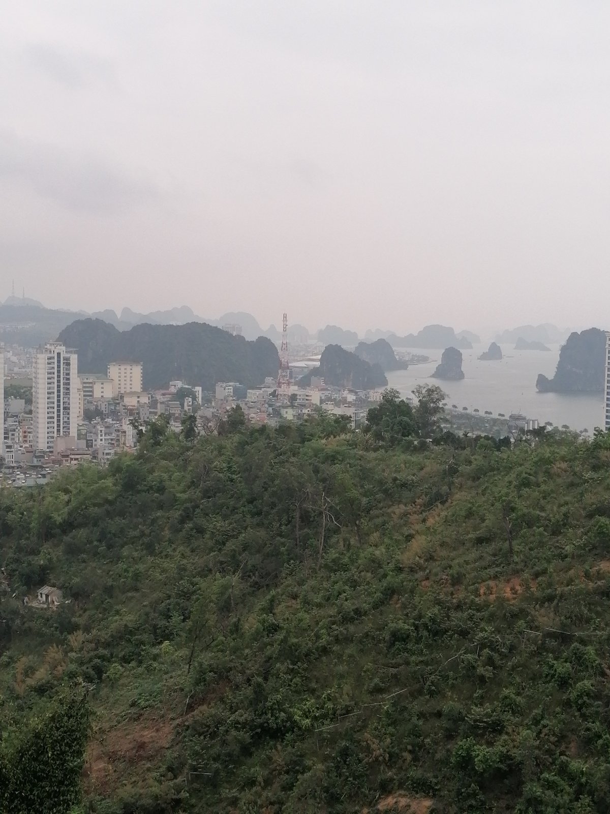 Elevated view captures Hong Gai Ward urban landscape, Vietnam