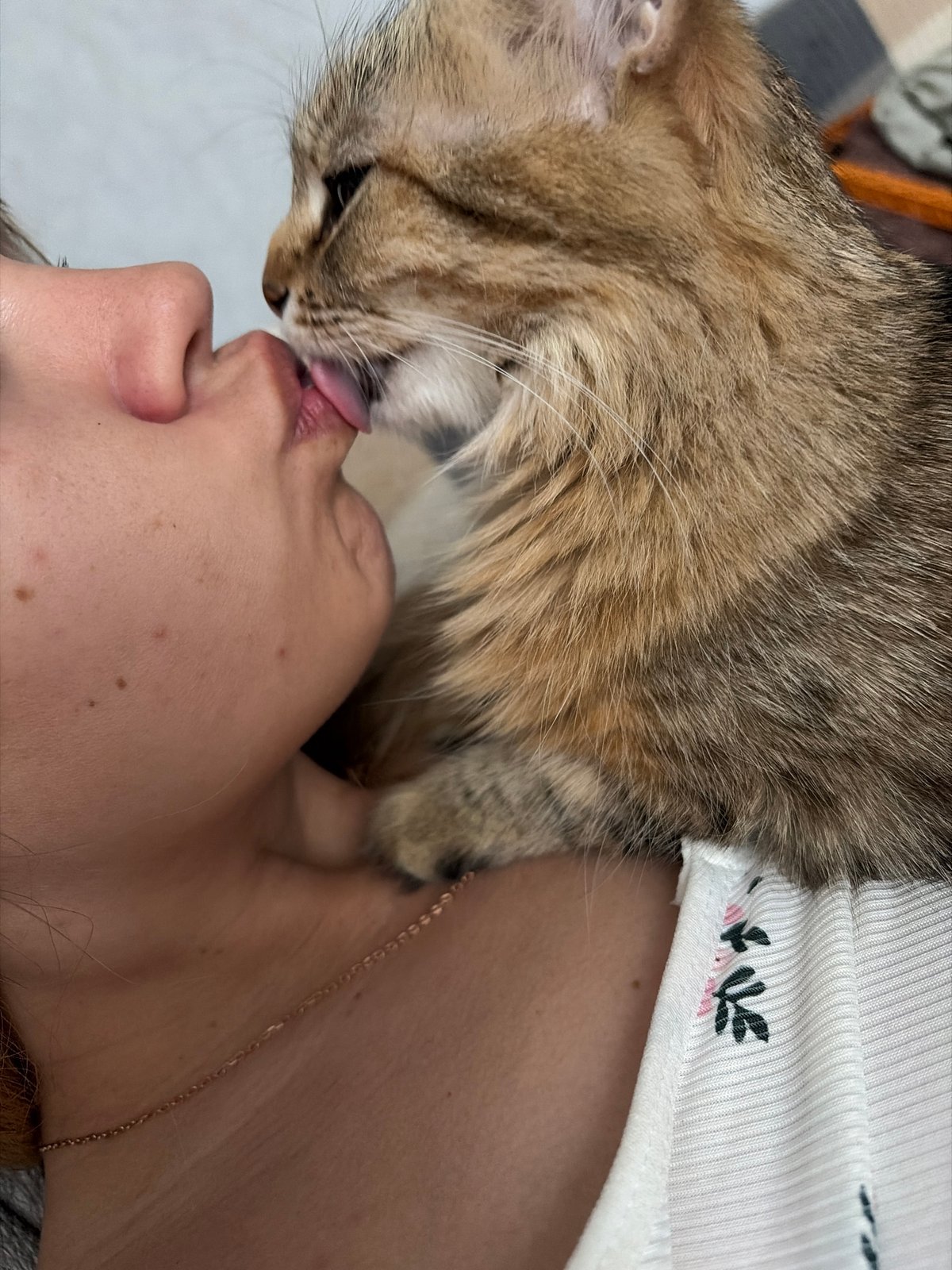 Woman shares tender moments with tabby cat in Chaikovsky