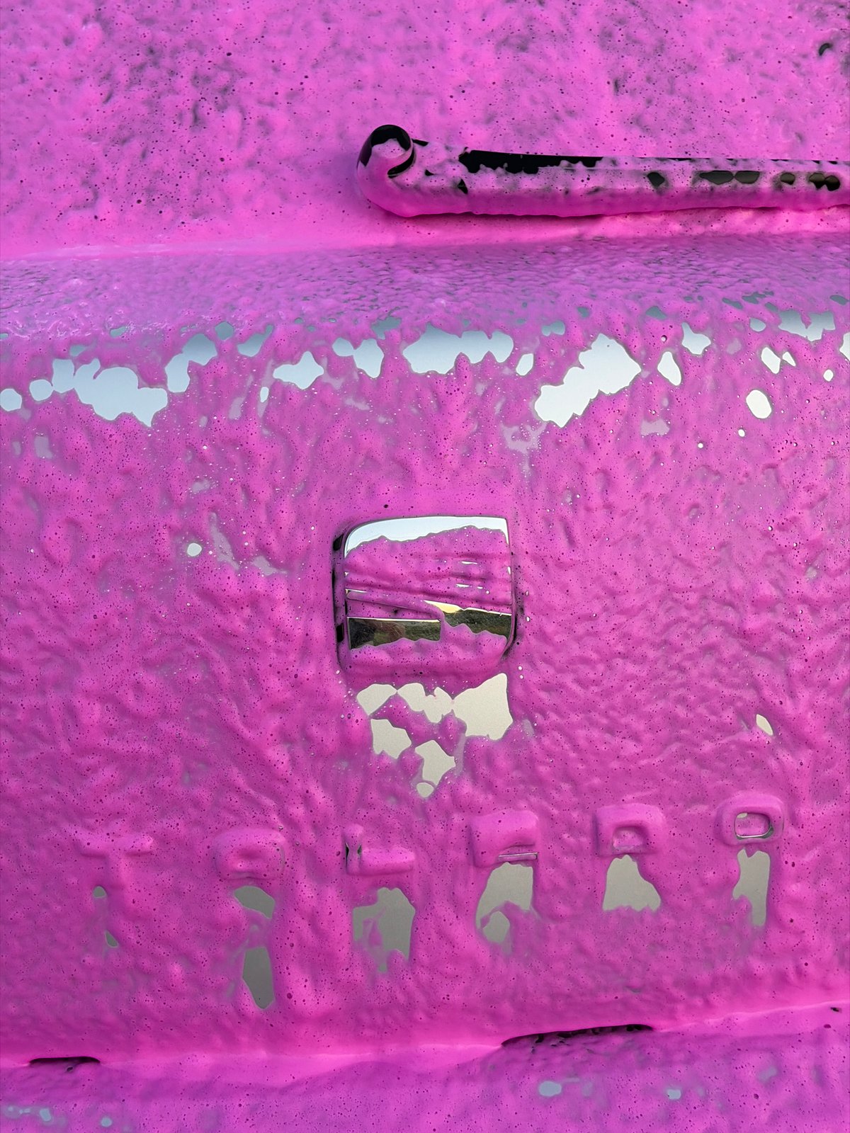 Garden snapshots, curious pets, and a car buried in pink foam.