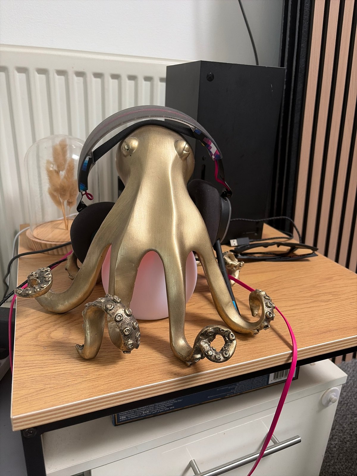 Salford resident documents quiet afternoon moments with pet, home interiors
