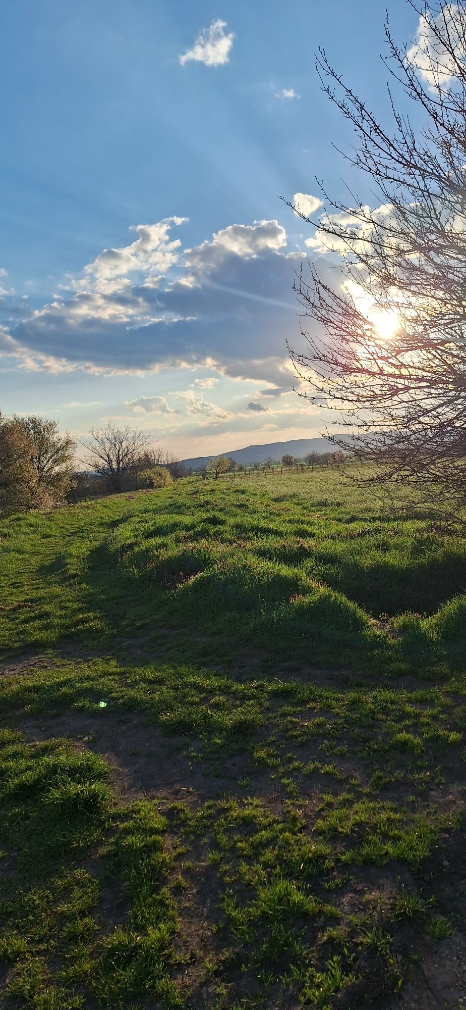 Man performs outdoor calisthenics workout in Stara Zagora