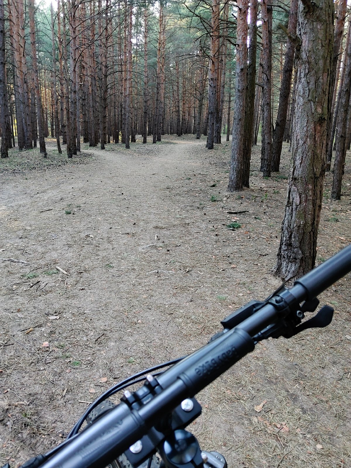 Moscow resident enjoys forest cycling, kayaking and city driving