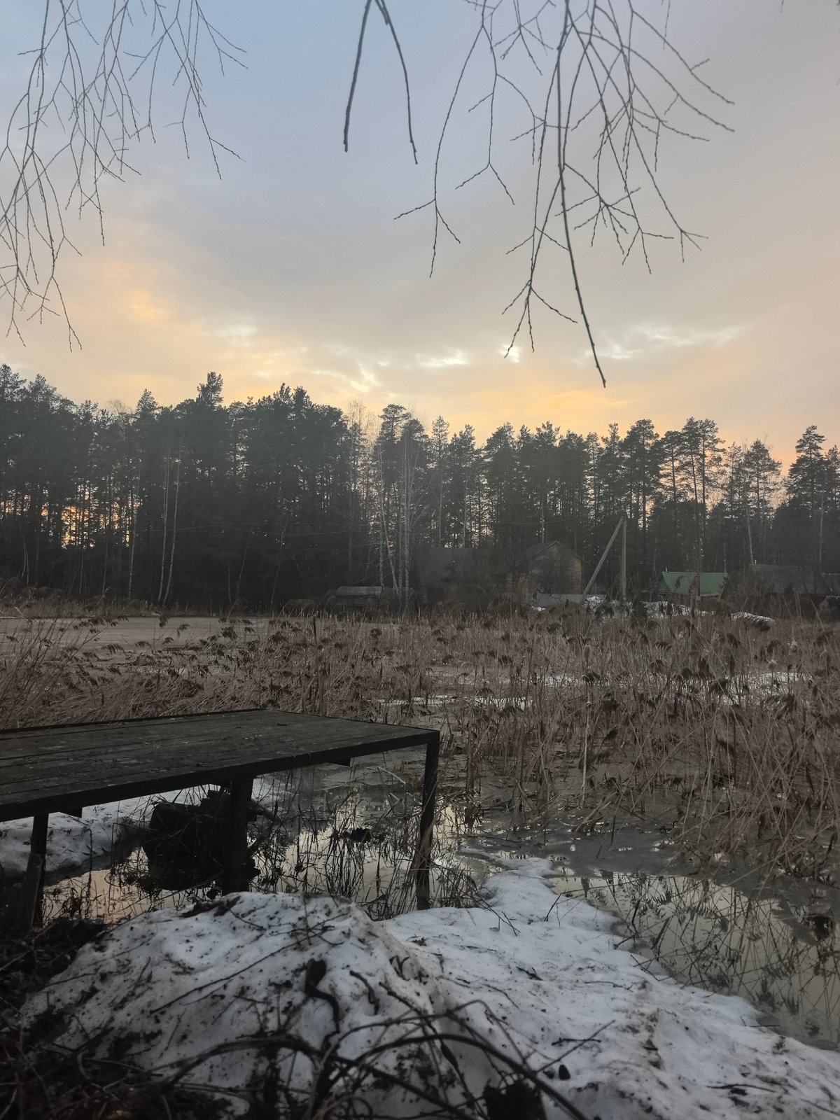 Bulldog photographed in backyard scenes across Noviy, Russia