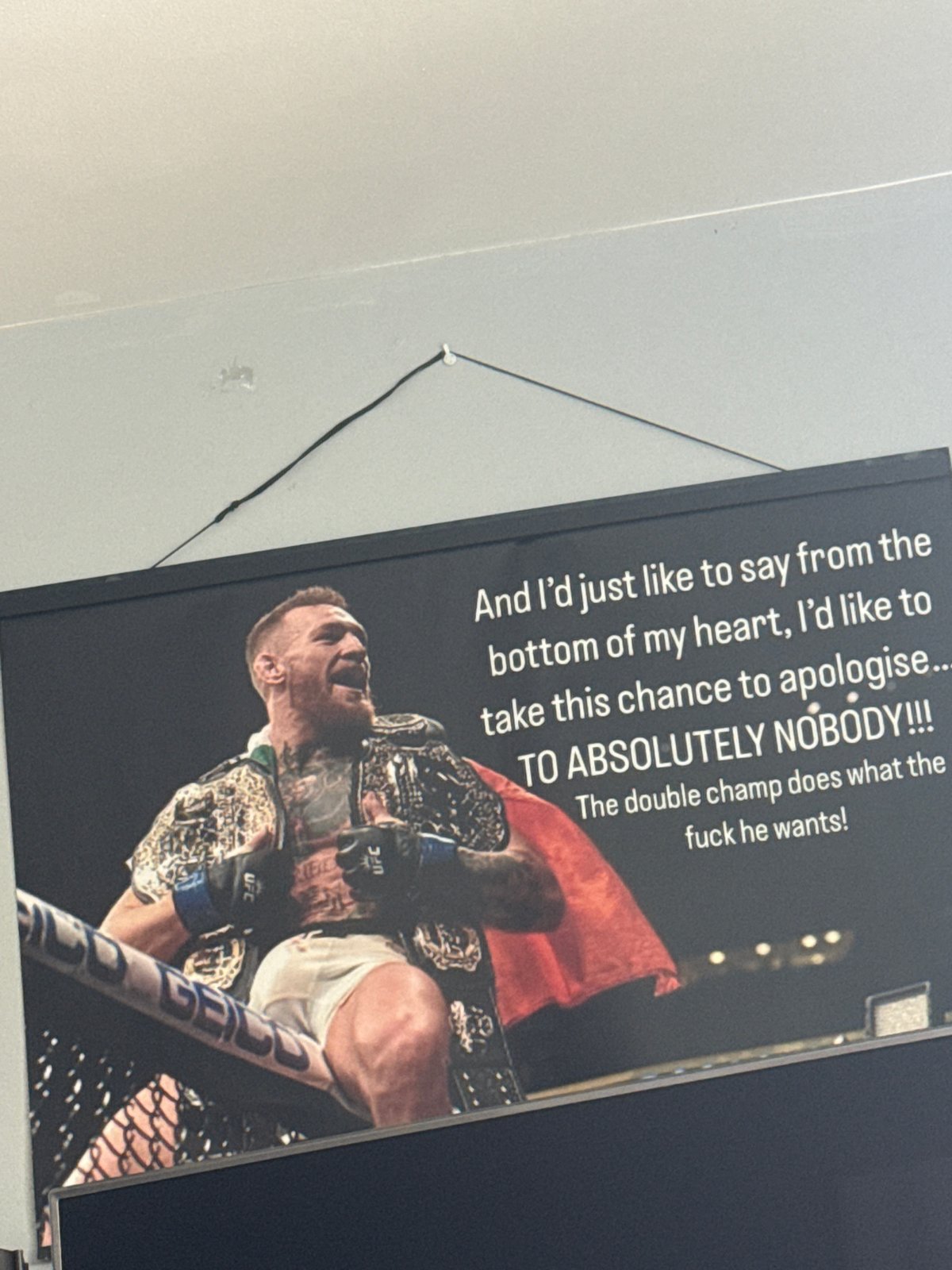 UFC and Harry Potter posters spotted in Des Plaines