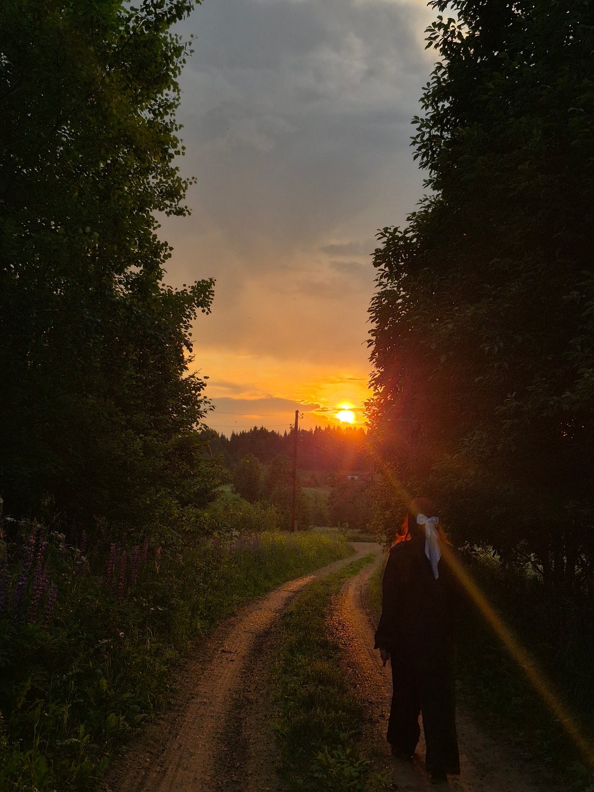 Sunset walk with wildflowers on rural Russian dirt path