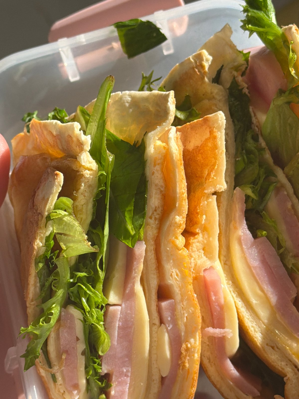 Person packs lunch sandwiches in Chaikovsky, Russia