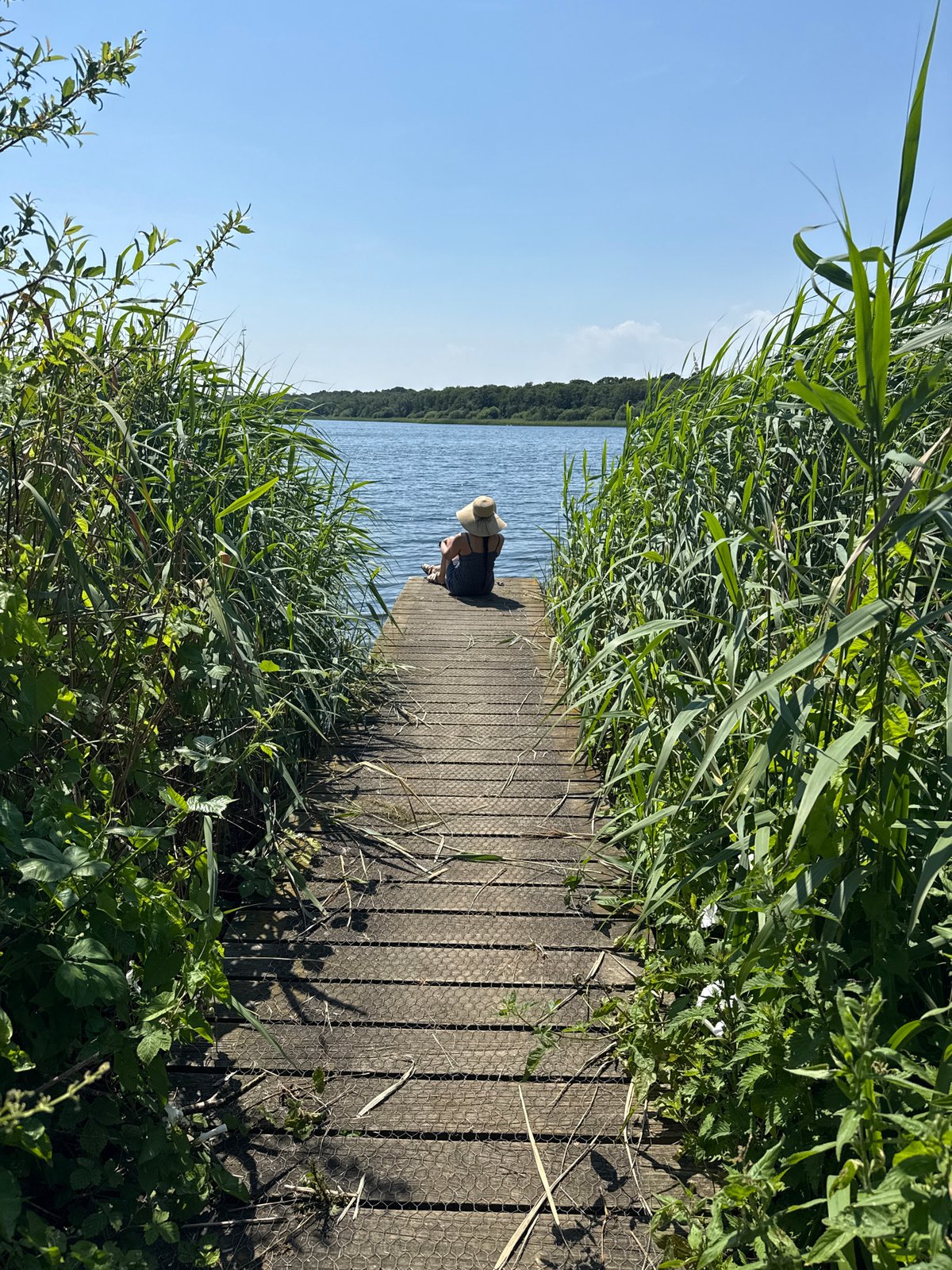 Lazy afternoon by the water near Great Yarmouth, ducks and swans included