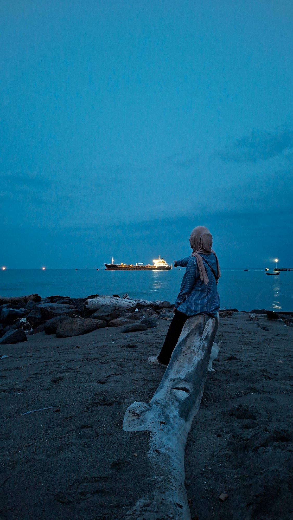 Dusk at Lhokseumawe beach: driftwood, a white cat, cargo ship offshore
