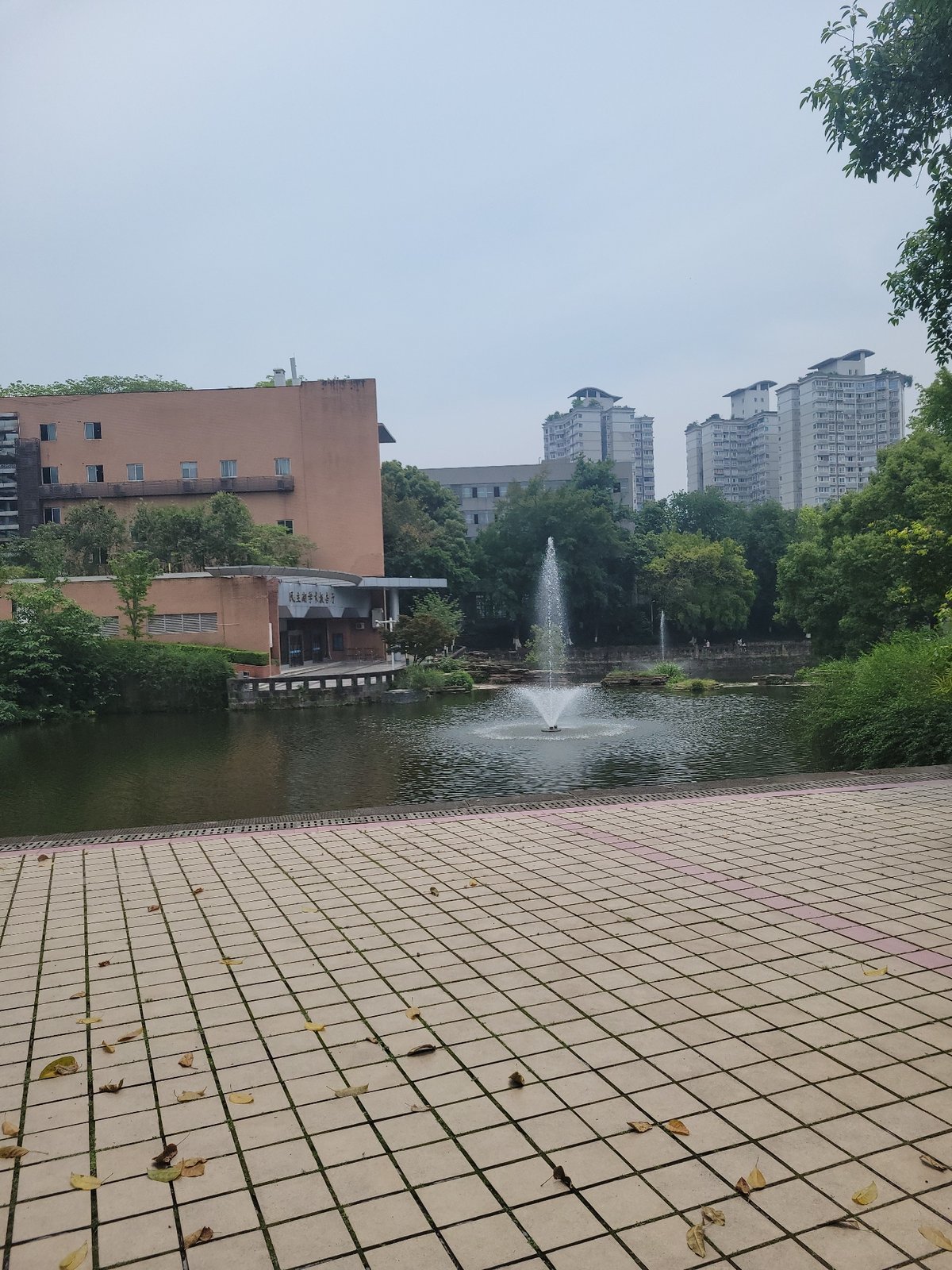 Morning scenes captured in Shapingba District park, Chongqing