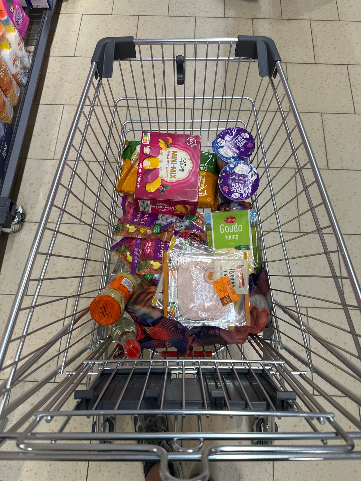Routine grocery shopping and parking documented in Sofia