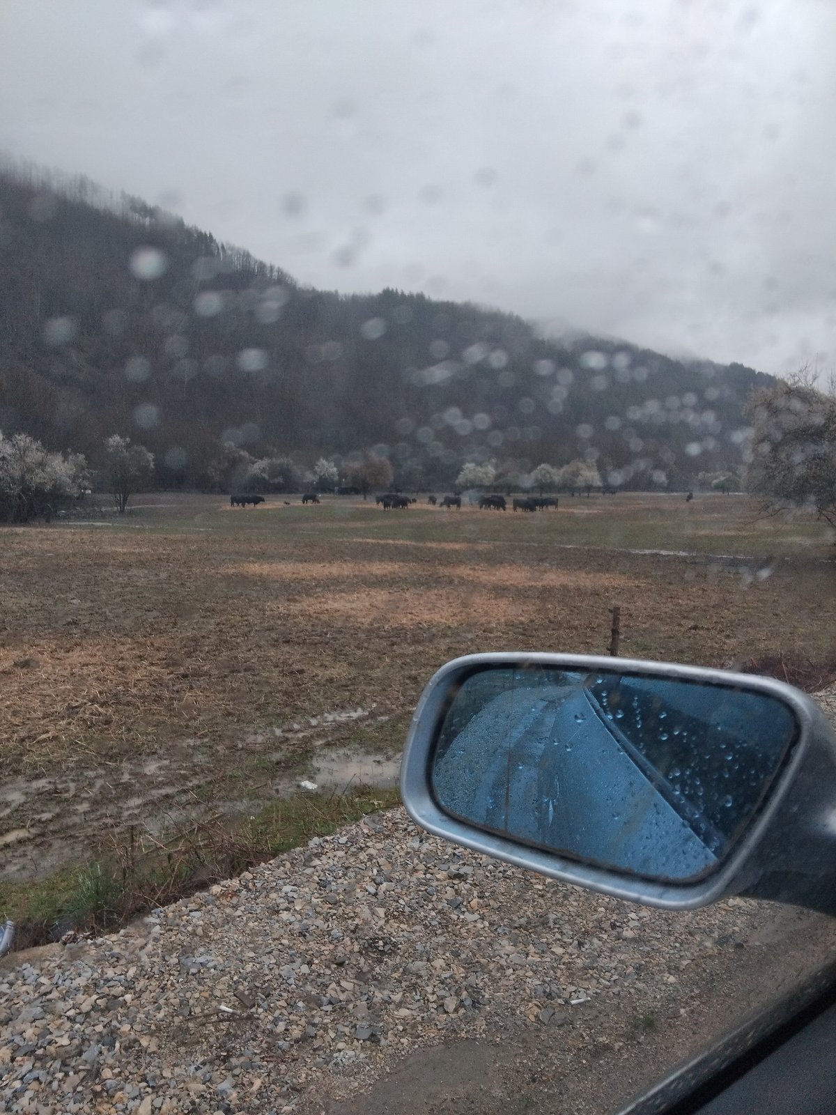 Rainy weather documented on rural road near Velchevo, Bulgaria