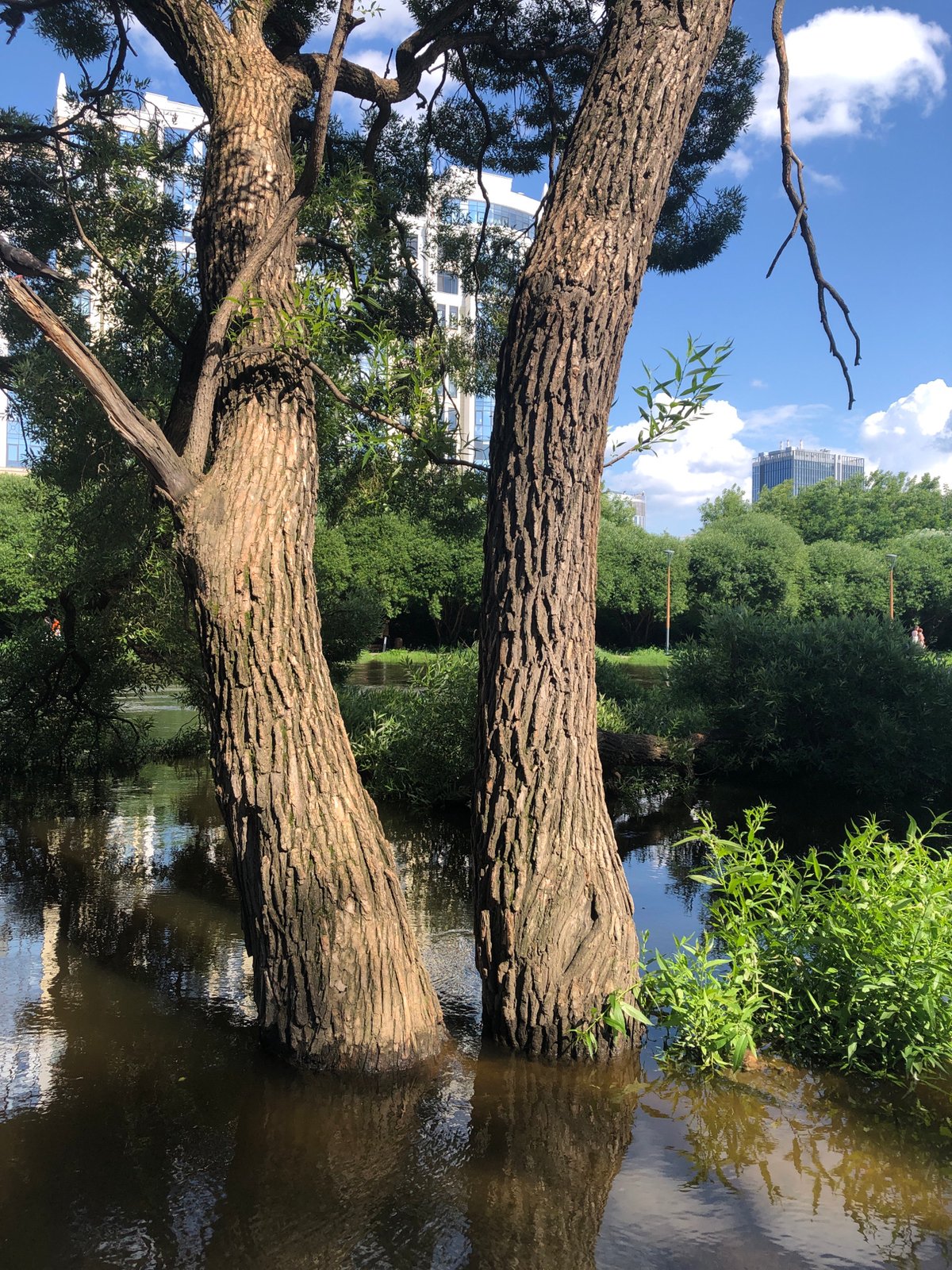 Yekaterinburg riverside flooding, street art, and summer morning