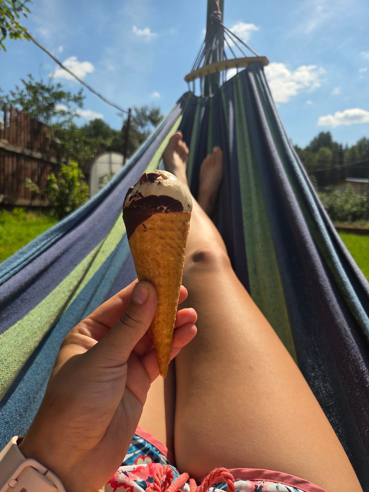 Dacha summer day: hammocks, lizards, a Sphynx cat, and raspberries