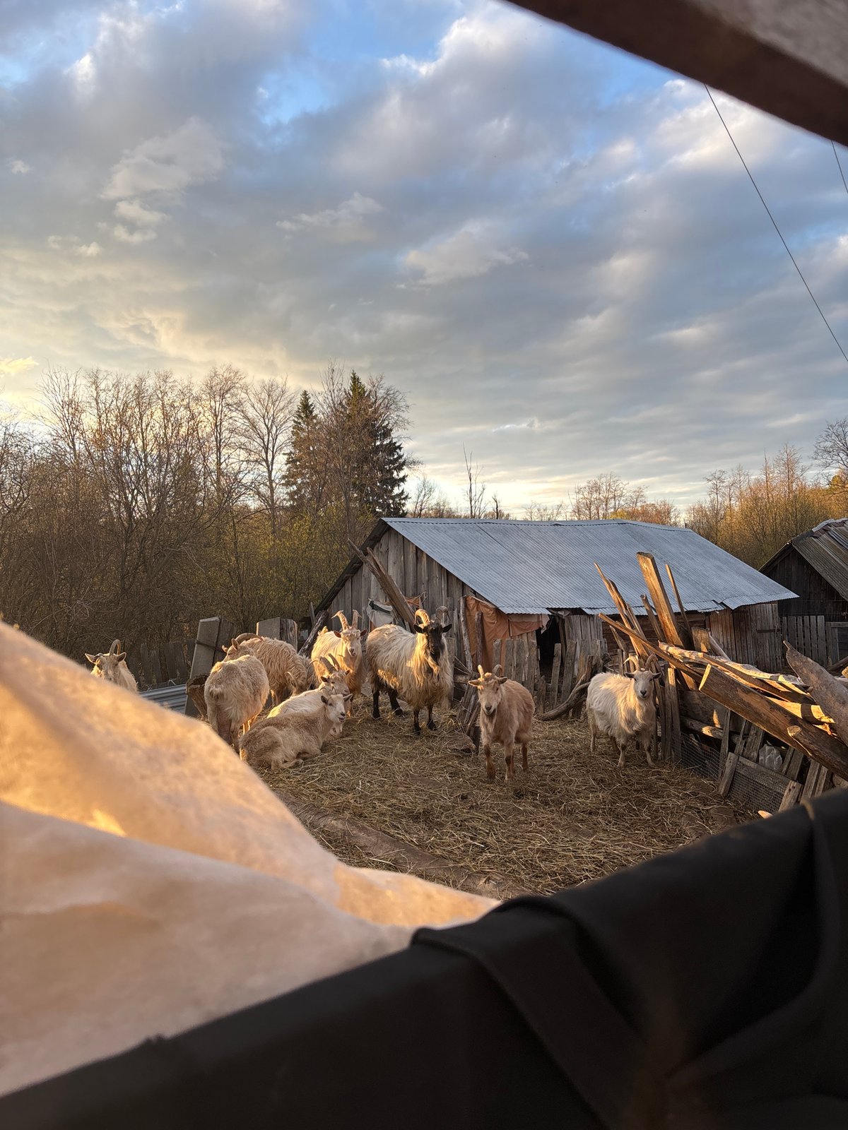 Family moments captured during afternoon in rural Russia