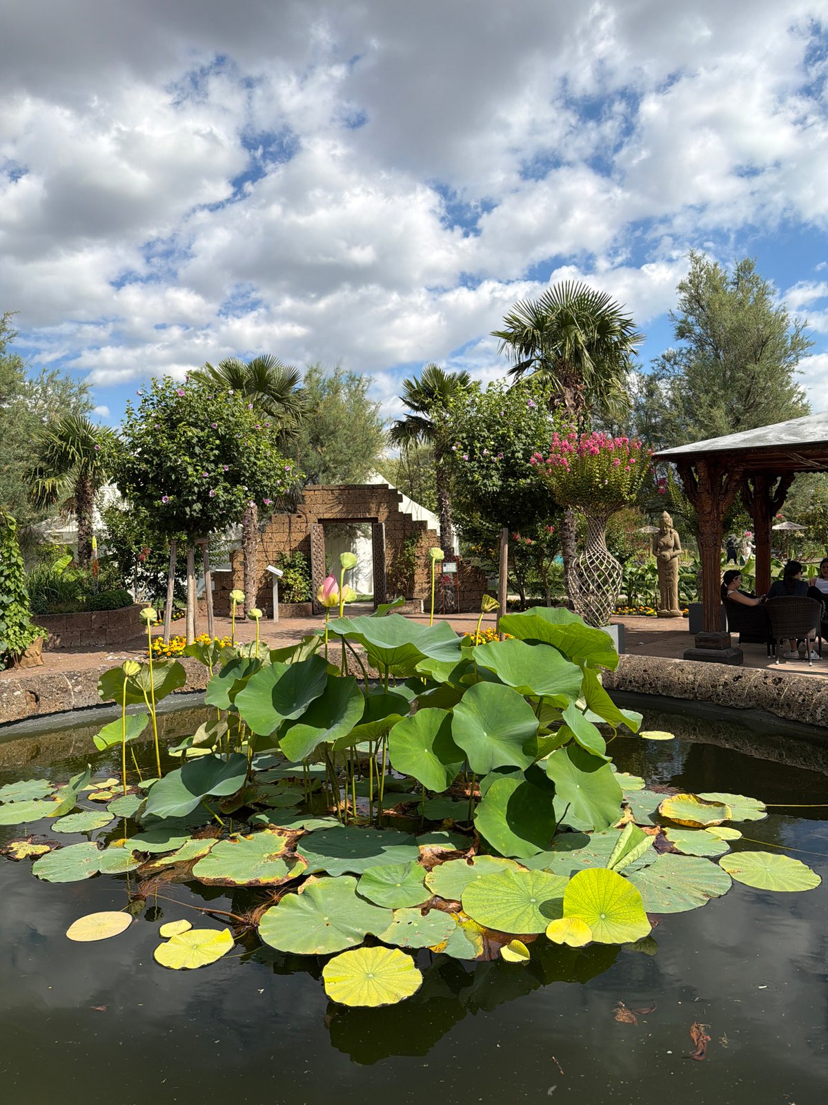 Afternoon in a Vienna botanical garden: lotus, statues, and turtles