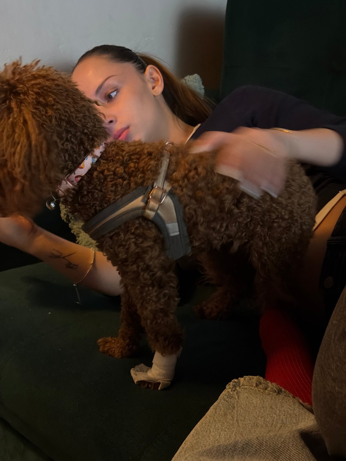 Woman relaxes with injured poodle, watches anime in Sofia apartment