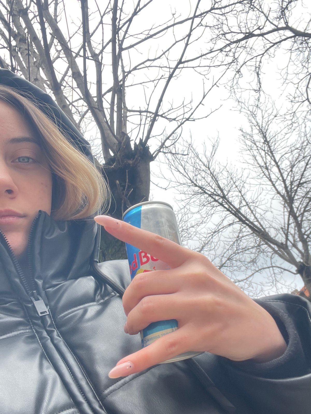 Spring moments in Sofia: Red Bull break, Cane Corso sighting