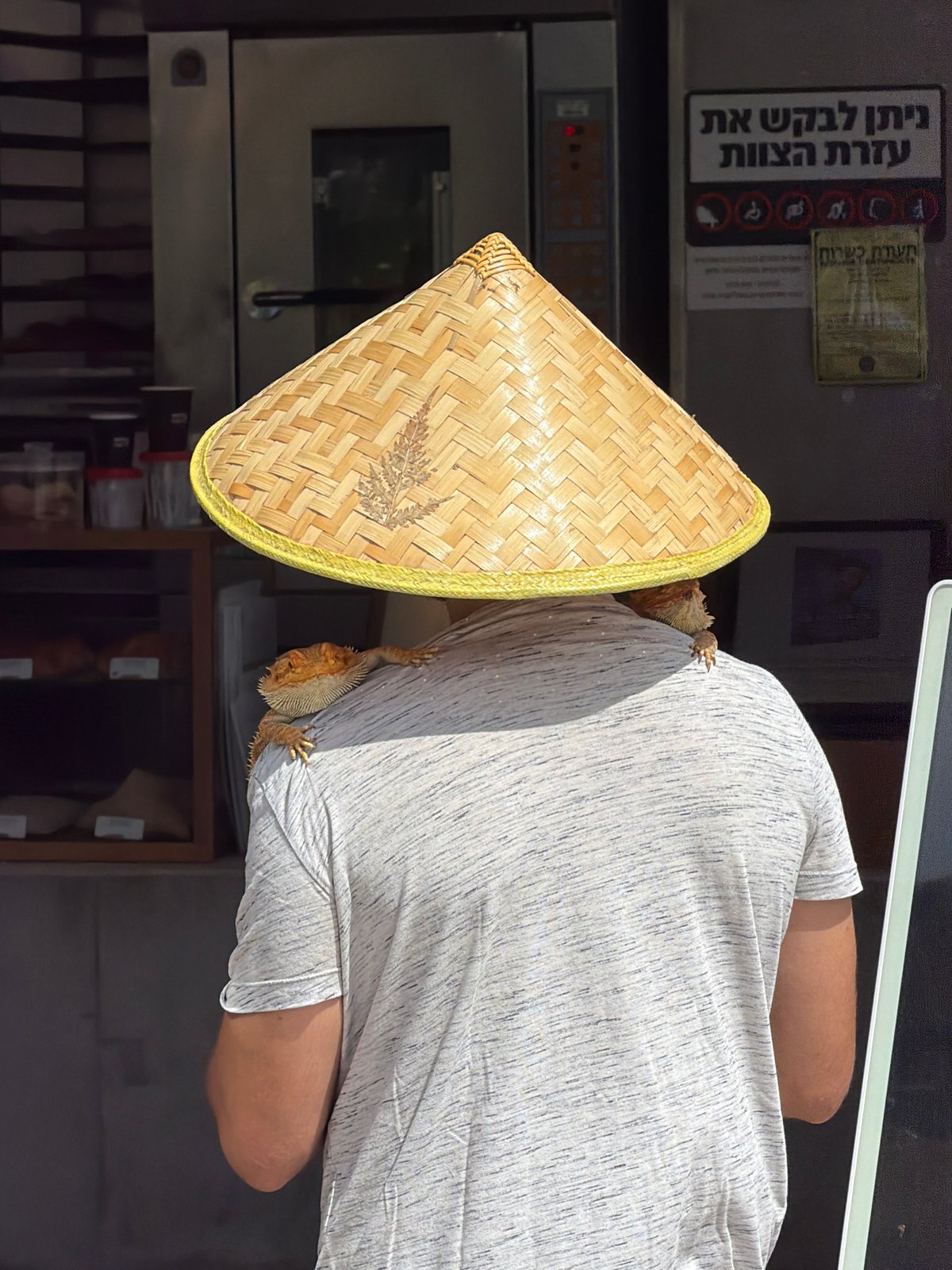 Bearded dragon rides a shoulder in Tel Aviv