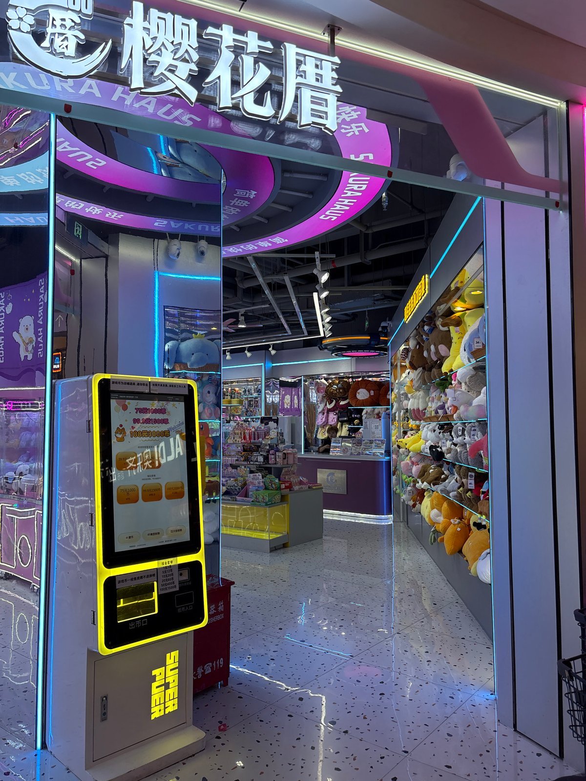 Retail browsing across a Minhang shopping strip
